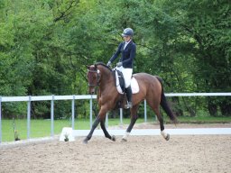 IMG_0267_web